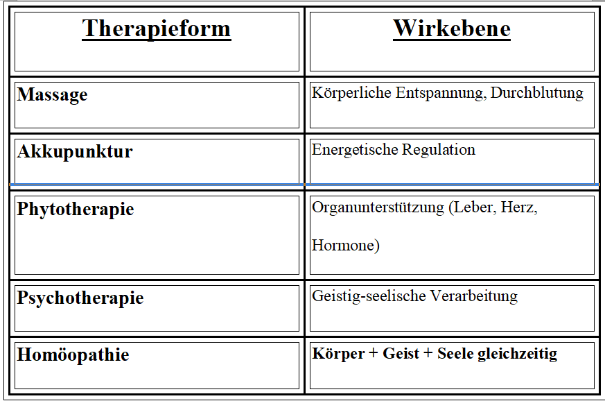 screenshot-therapieform