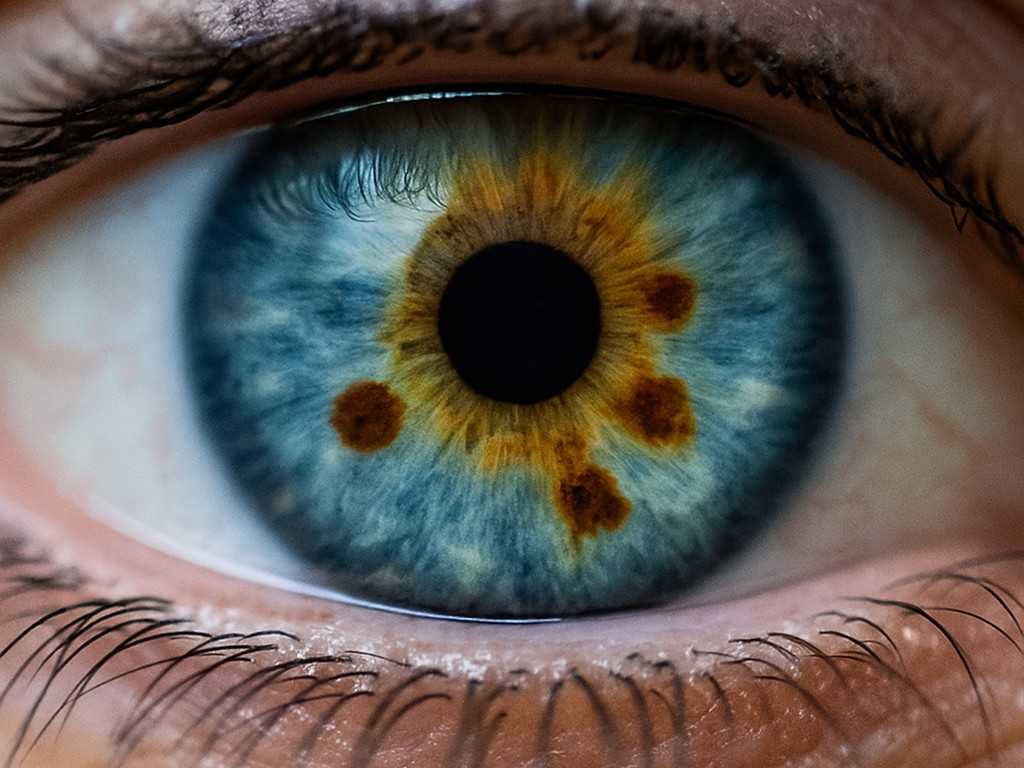Das Geheimnis der Iris – wenn Laborwerte schweigen, spricht der Blick ins Auge Nahaufnahme einer Iris mit blauen und braunen Farbanteilen – Symbol für ganzheitliche Diagnostik bei unklaren Beschwerden