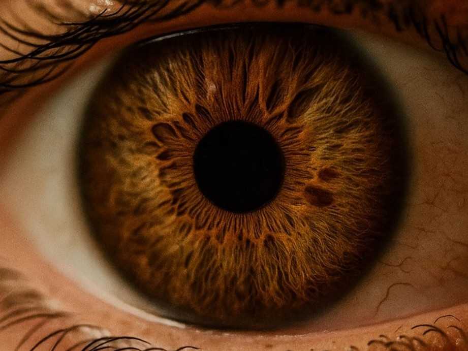 Ganzheitliche Betrachtung einer braunen Iris bei der naturkundlichen Augendiagnose